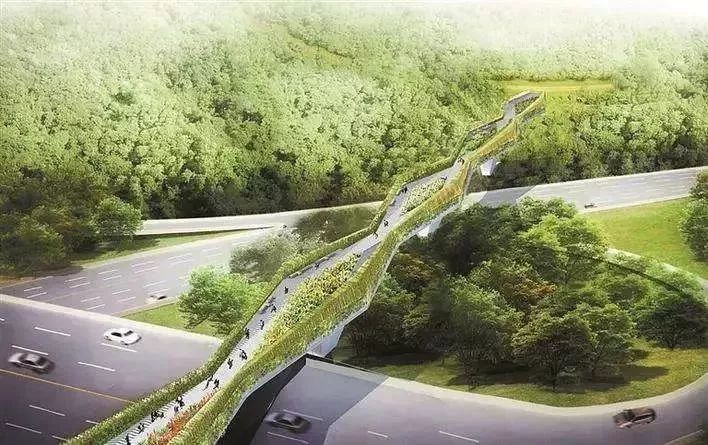 深圳莲花山空中廊桥正式开通连廊直通笔架山莲花山公园