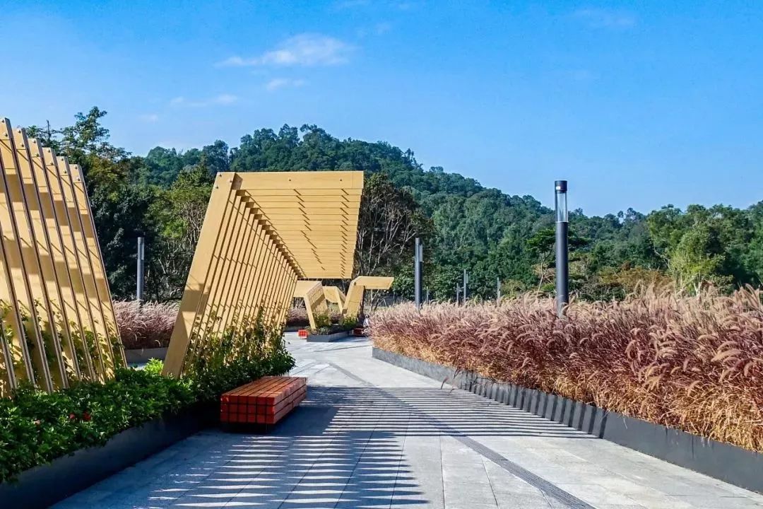 深圳莲花山空中廊桥正式开通连廊直通笔架山莲花山公园