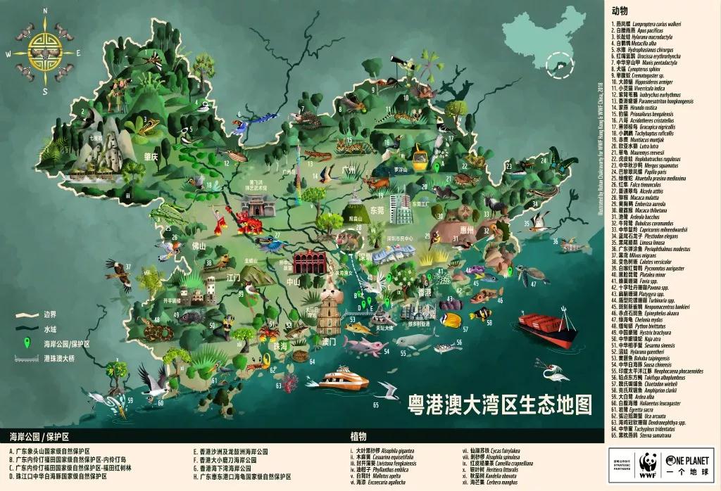 直播关灯地球一小时惊现粤港澳大湾区生态地图