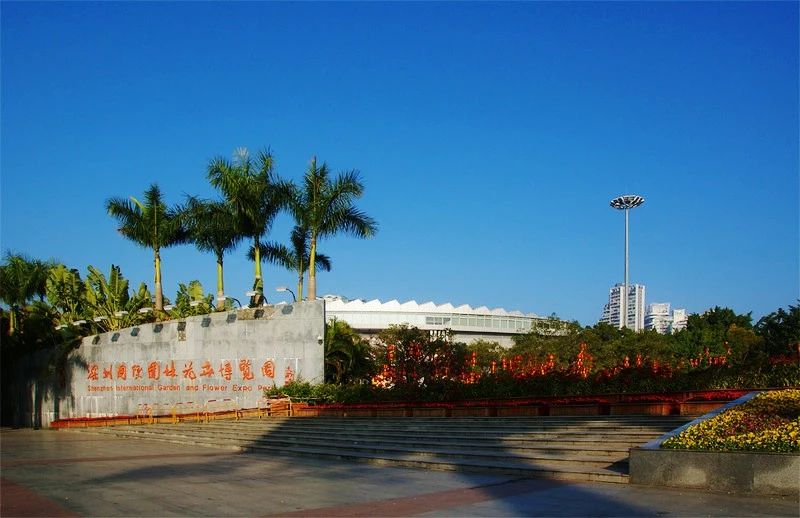 2019深圳福田区免费游玩攻略