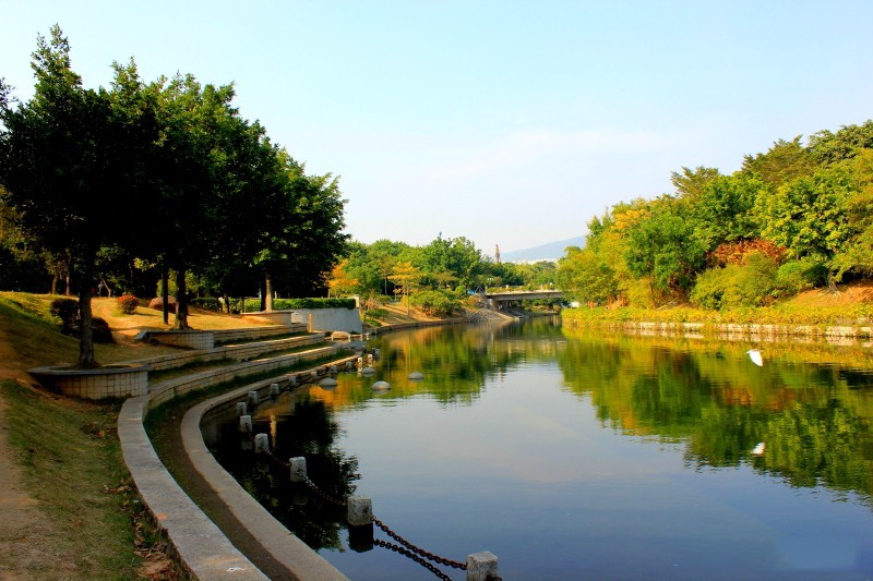 2019深圳福田区免费游玩攻略