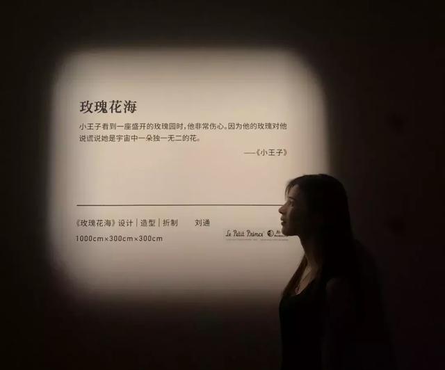 深圳首个小王子主题展来啦同时这里还有一片玫瑰花海
