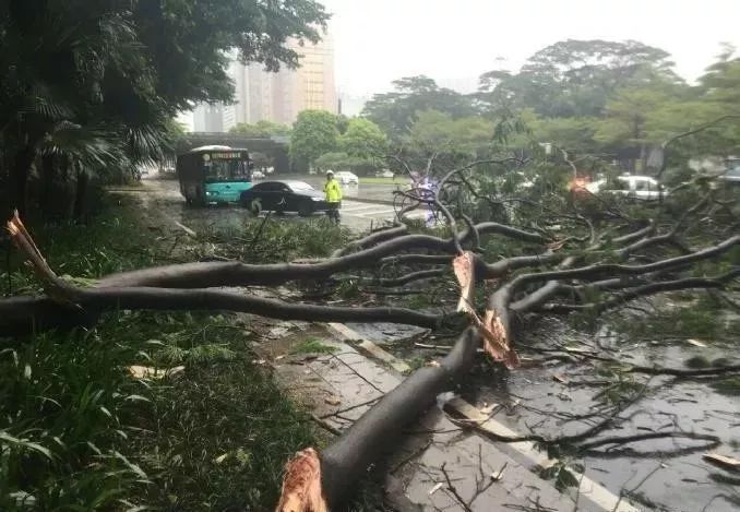 付坤短诗三首（图2）