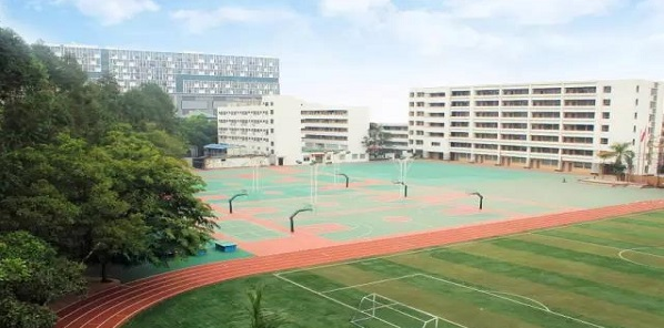 2019年深圳市展华实验学校招生计划