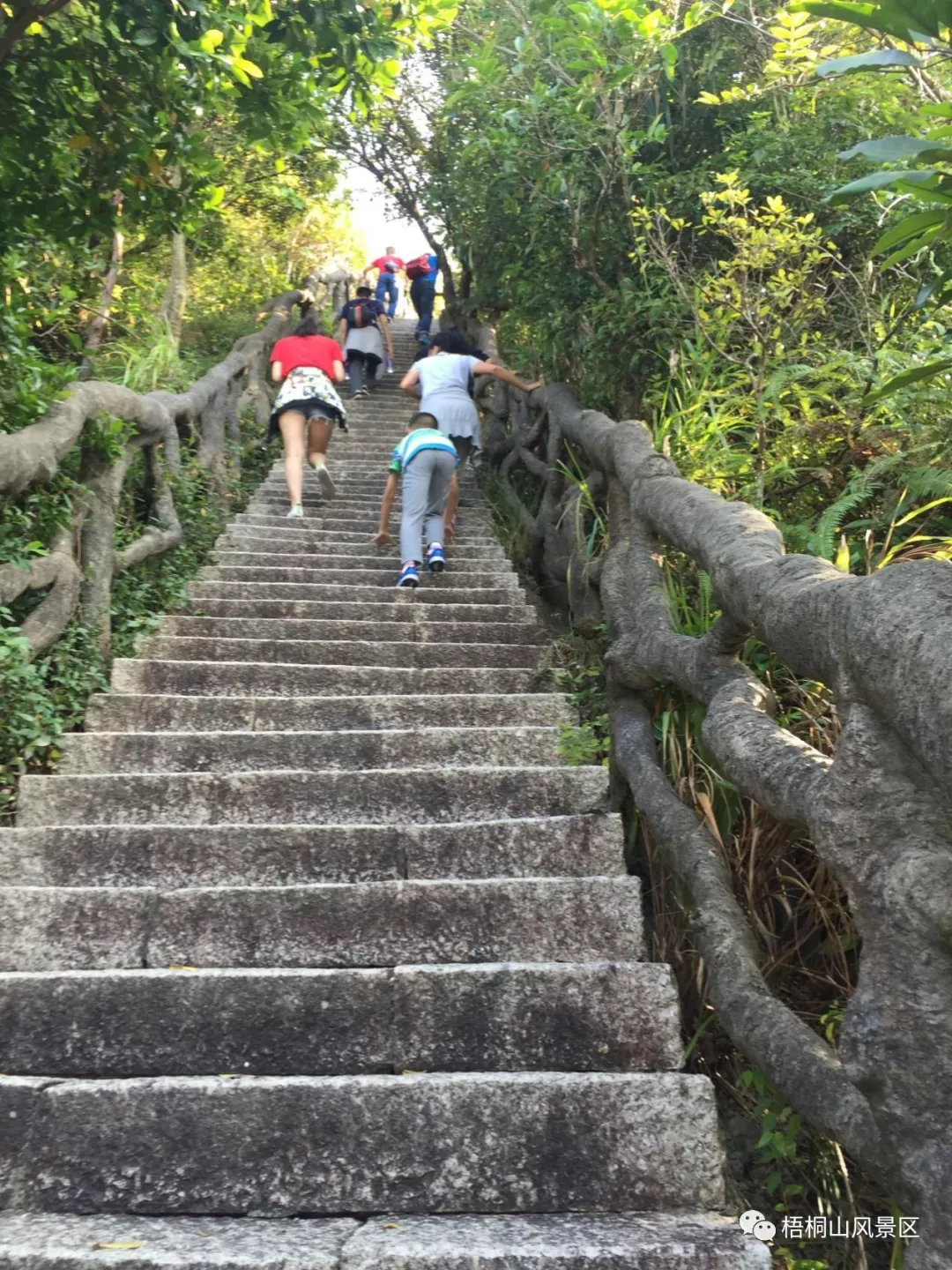 深圳梧桐山最难爬的路线