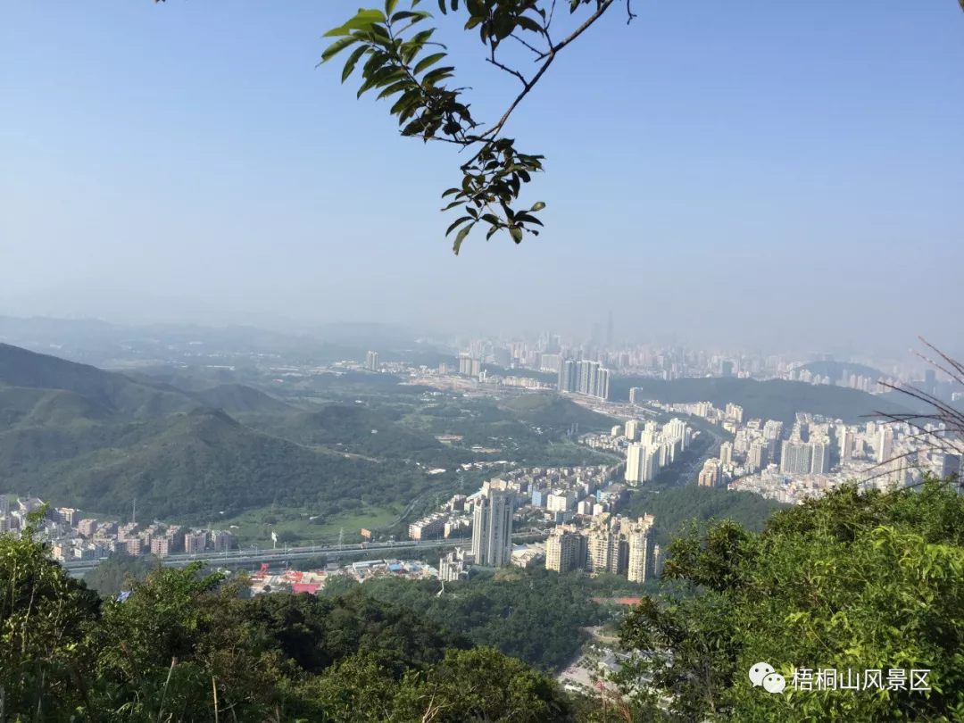 线路介绍:凌云道于2005年5月正式落成,是梧桐山风景区坡度