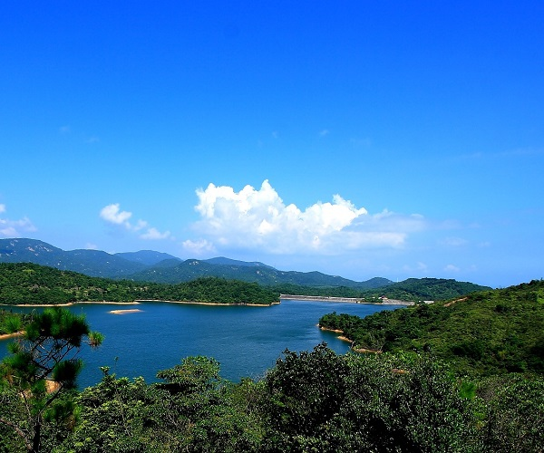 深圳三洲田森林公园游玩攻略