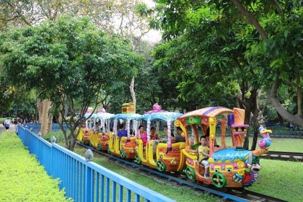 深圳罗湖儿童公园有什么好玩的(附交通指南)