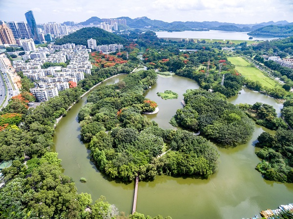 人工湖公园二号门公园四号门深圳水库盆景园杜鹃园菊花展劳乐亭广场劳
