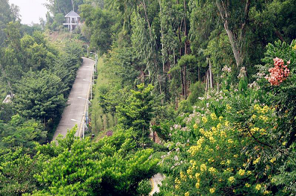 深圳红岗公园好玩吗(游玩攻略)