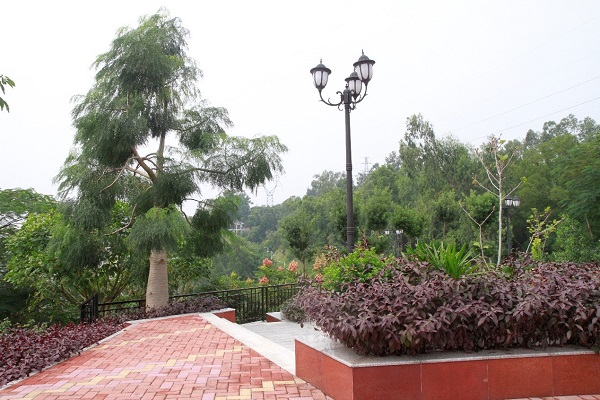 深圳红岗公园好玩吗(游玩攻略)