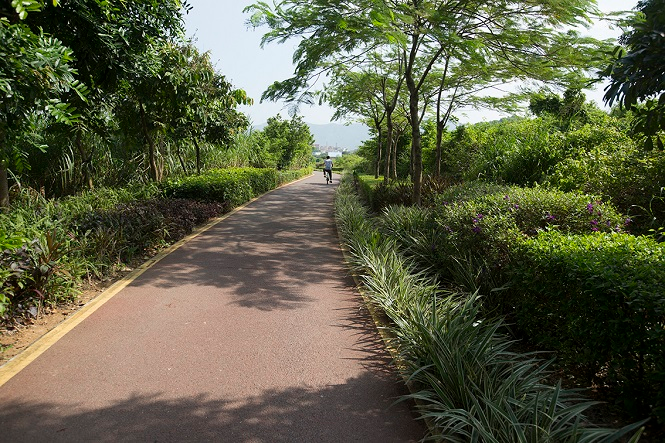 深圳光明森林公园绿道游玩攻略