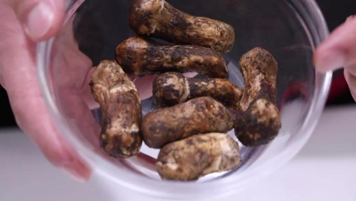 北纬40丹东松茸挑环境不挑海尔馨厨智慧冰箱
