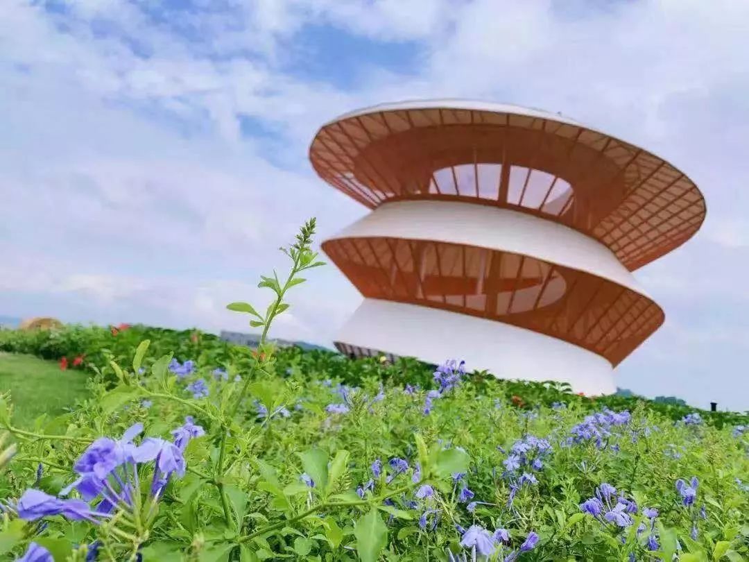 2019国庆深圳光明小镇欢乐田园"丰收节"(时间 地点 亮点)