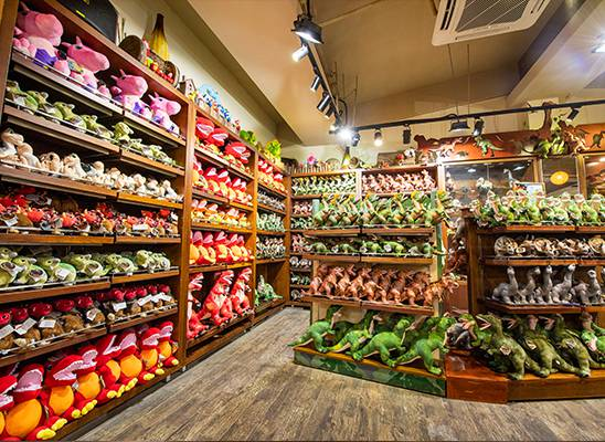 广州长隆野生动物园商店卖什么?(园区商店)