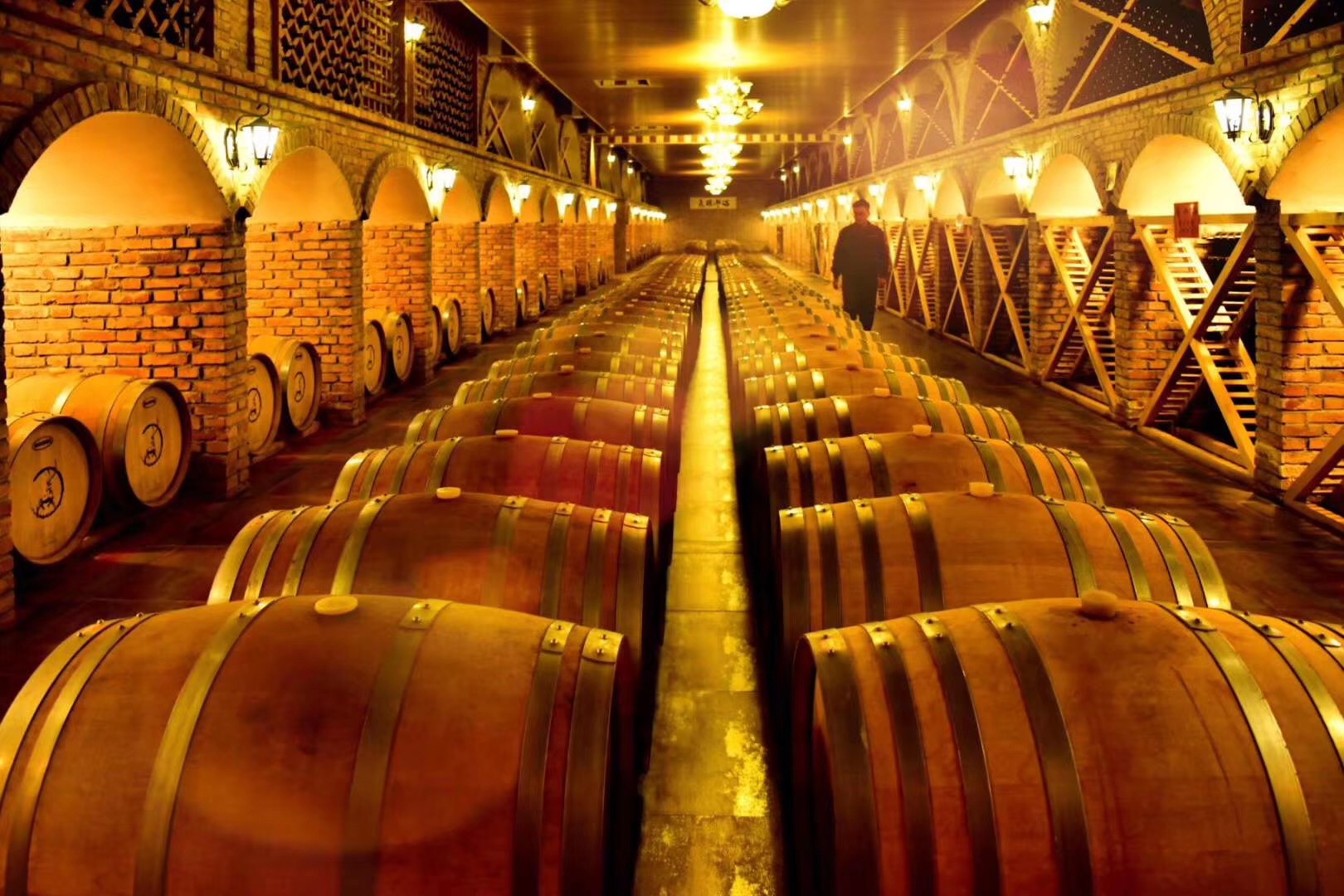 醉美罗山公益宁夏宁夏罗山优质葡萄酒惊艳亮相深圳