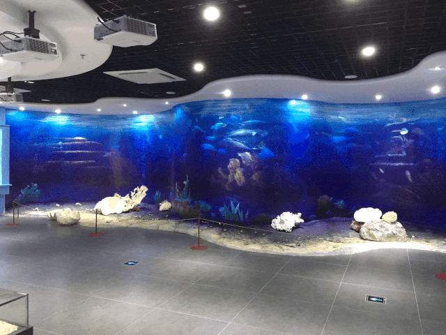 深圳蛇口海洋博物馆好玩吗