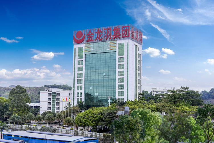 金龙羽,从"小鱼"到电缆行业"大鳄"的传奇之路