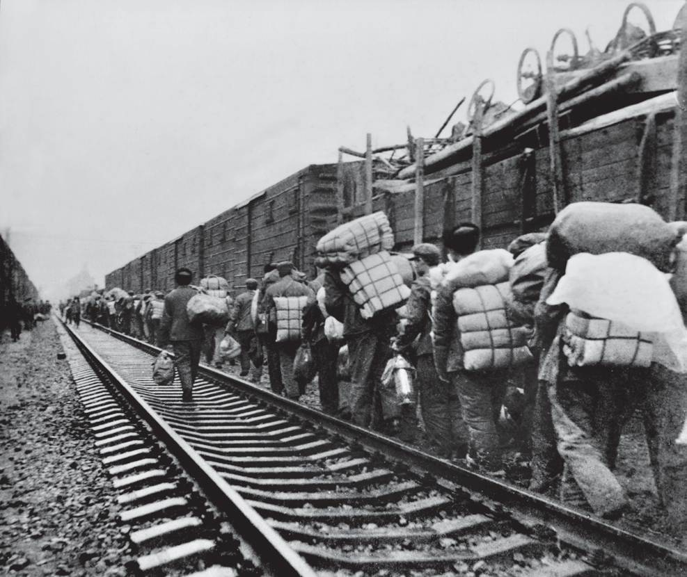 基建工程兵隐匿特区的神秘部队