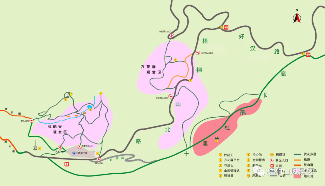 梧桐山路线(夜爬梧桐山路线)