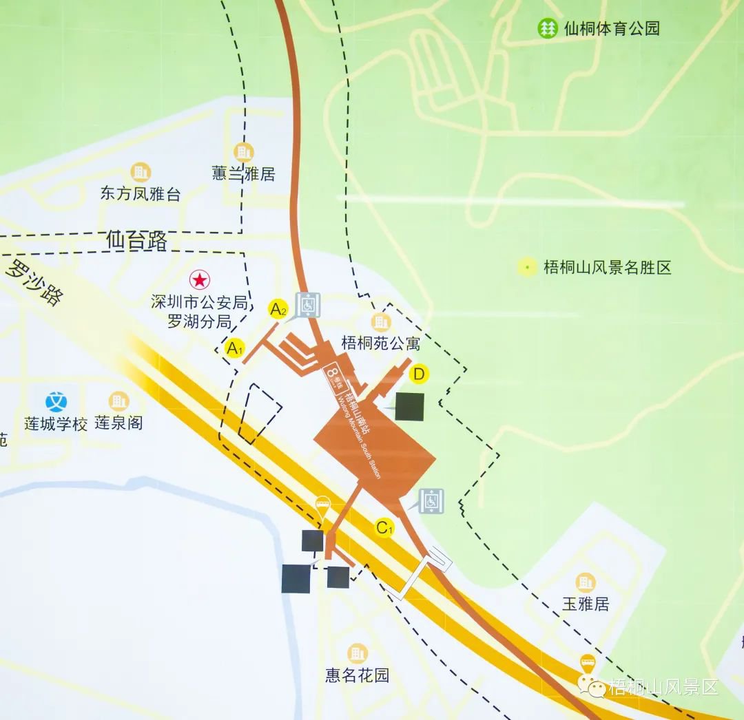 搜索"仙桐体育公园"地址:梧桐山凌云道是从景区的仙桐体育公园直达小