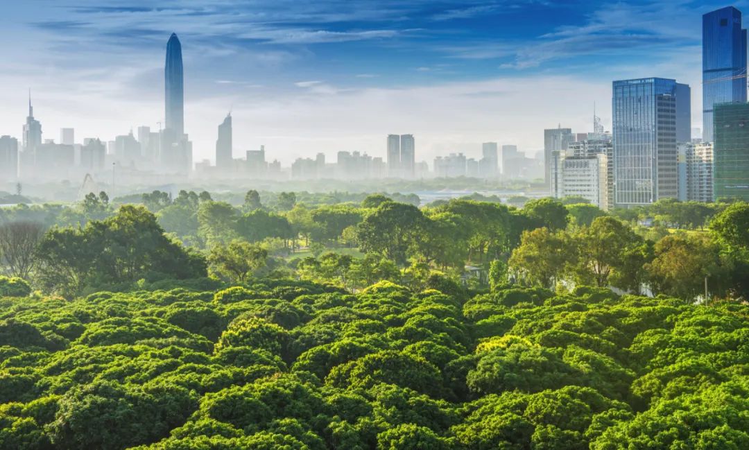 2021年深圳福田区改革工作要点详情