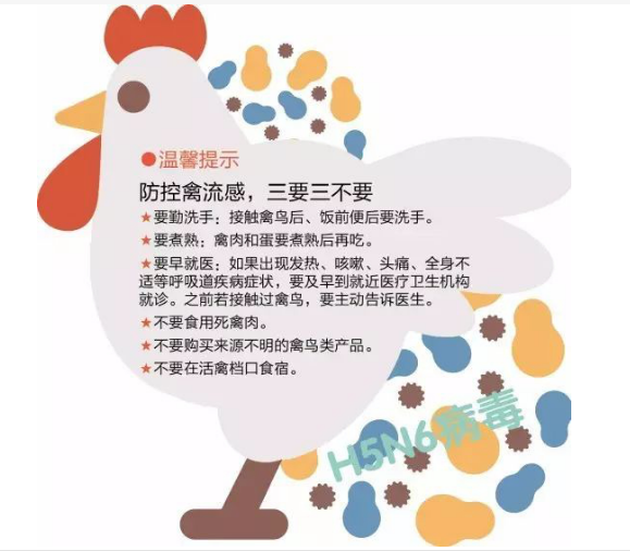 人感染h5n6禽流感介绍及主要预防措施