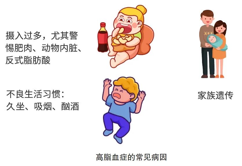 《血脂健康管理百问教程》:打败高脂血症,我能行!_深圳之窗