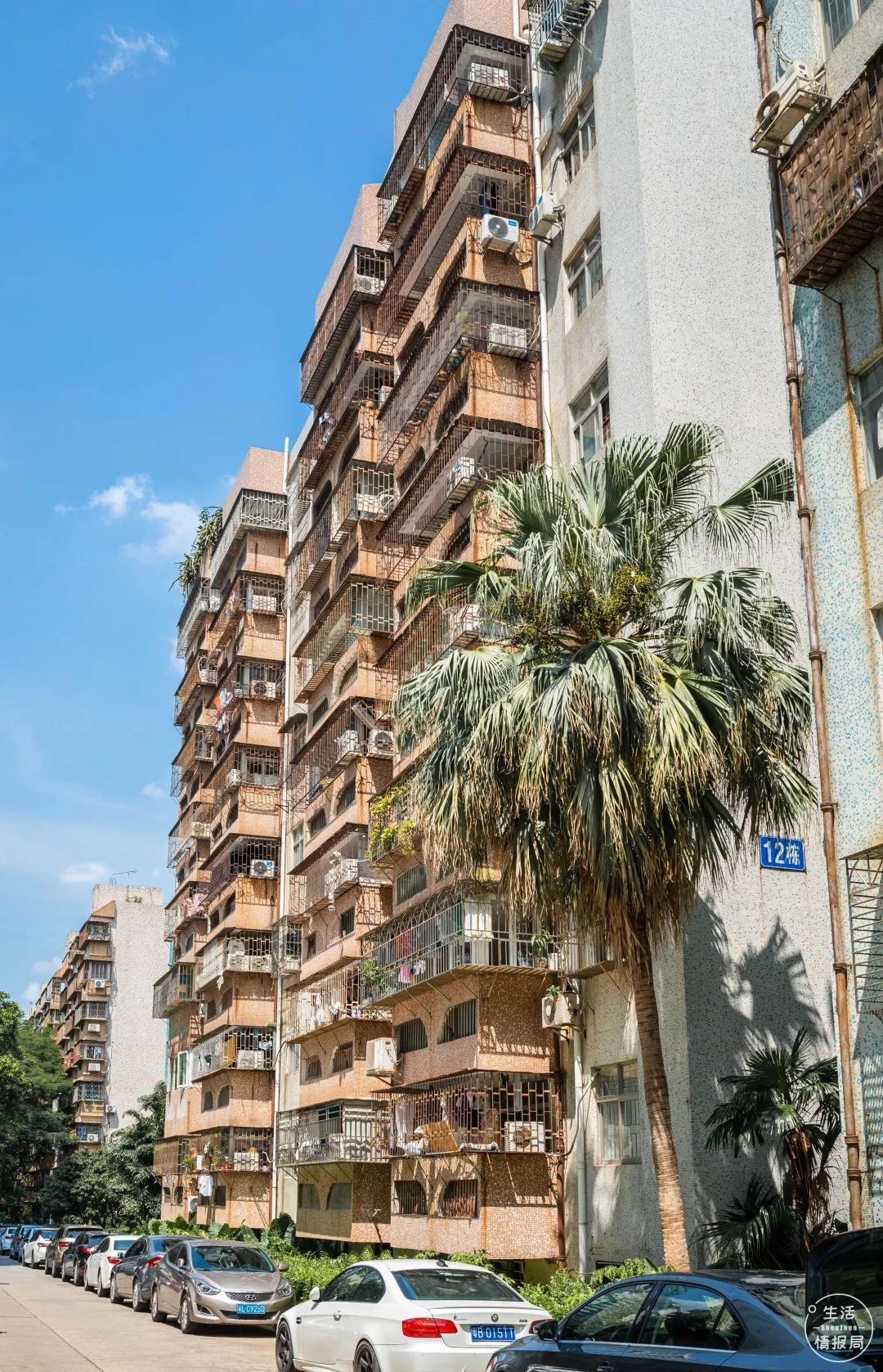 深圳人租房有多冤？二房东卷钱跑路、成了蛋壳公寓暴雷的受害者……_深圳之窗