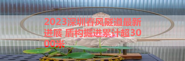 IMG_6152.png
