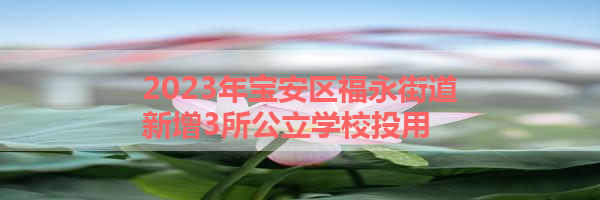 IMG_6433.png
