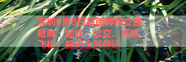 IMG_0075-23.png
