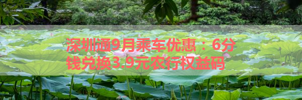 IMG_6194.png