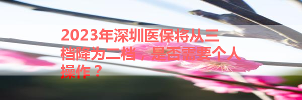IMG_0144-30.png