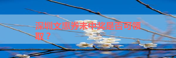 IMG_0039-20.png