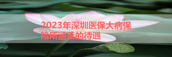 IMG_6436.png