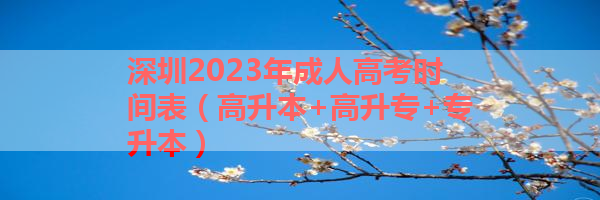 IMG_9998-16.png