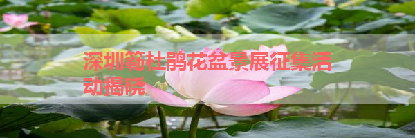 IMG_6045.png
