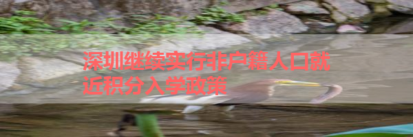 IMG_6206.png