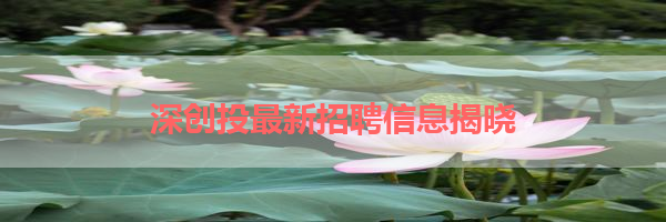 IMG_5996.png