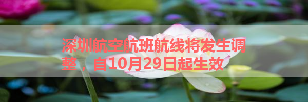 IMG_5872.png