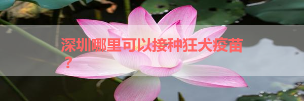IMG_6254.png