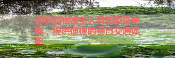 IMG_6040.png