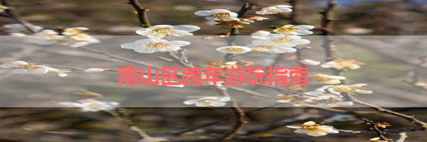 IMG_0073-22.png