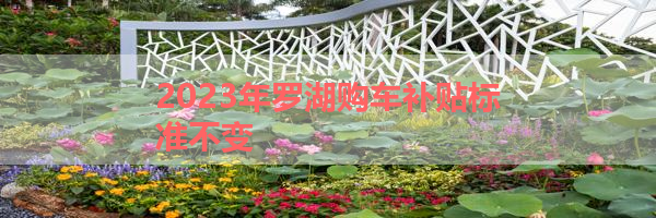 IMG_5917.png