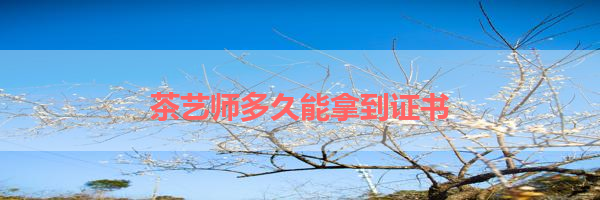IMG_0166-2.png