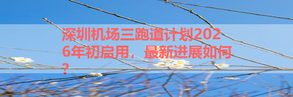 深圳机场三跑道计划2026年初启用最新进展如何