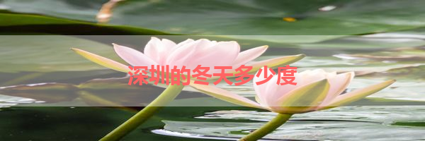 IMG_5940.png