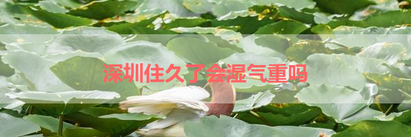 IMG_5930.png
