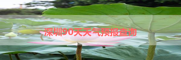 IMG_5985.png